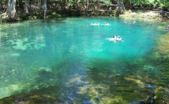 Manatee Springs State Park (from Wikimedia)