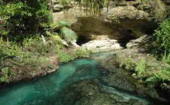 Kelly Park Rock Springs