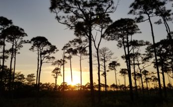 Jonathan Dickinson State Park