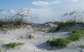 Anastasia State Park photo by Jill DeLonay